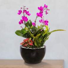 만천홍 검정원형(총높이 약39cm)